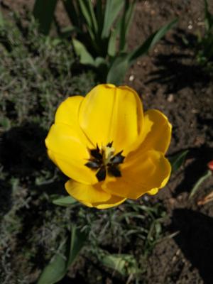 Dirk Stein Fliesenlegerei