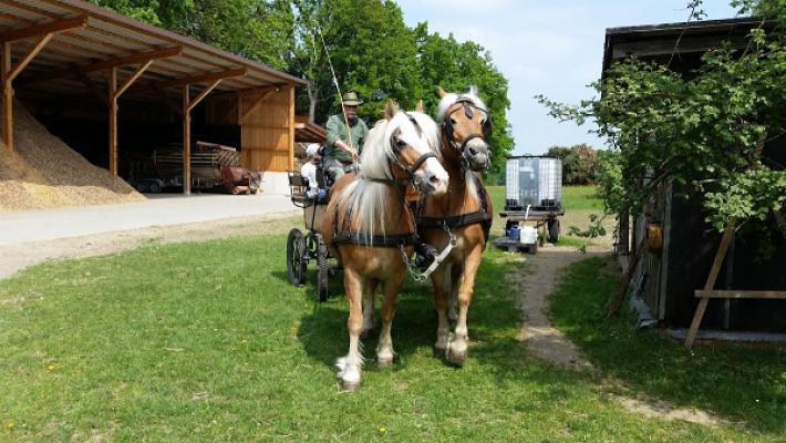 Markus Wagner Fliesengalerie