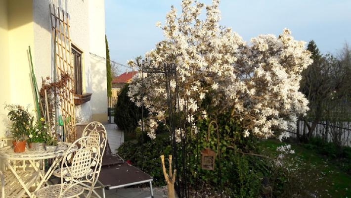 HK Fliesen - Naturstein -Wellness GmbH