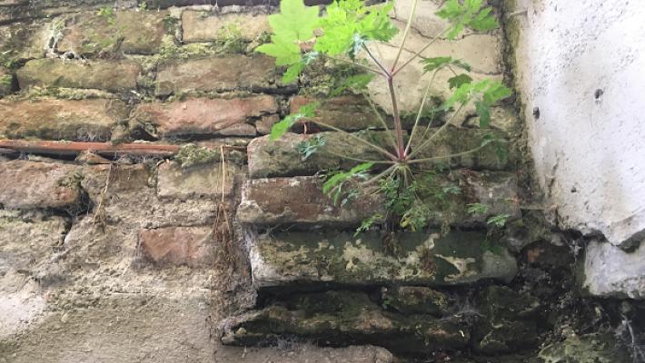 Taschenberger-Bautenschutz HOLZ- UND BAUTENSCHUTZ MEISTERBETRIEB