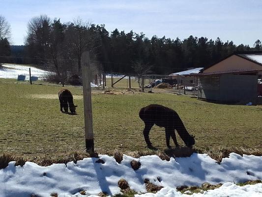 Fliesen Kappauf GmbH