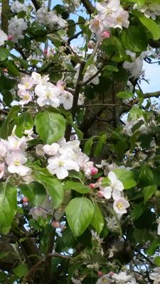 Ralf Müller Fliesenleger