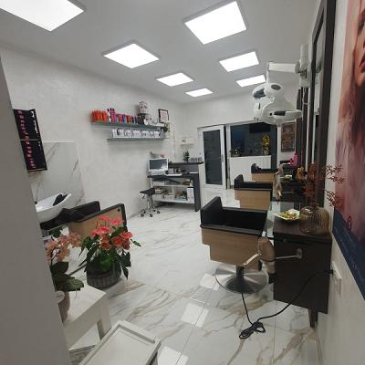 Schipor Bau & Renovieren UG