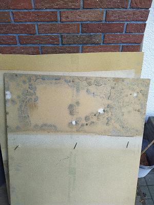 Ambas Bau Miftar Adrovic E.k.