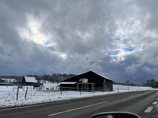 Frank Ermel Fliesenleger Fachbetrieb