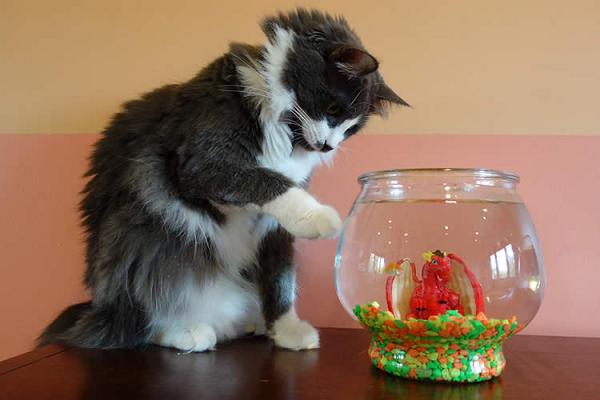 Dirk Rojahn - Fliesen und Naturstein