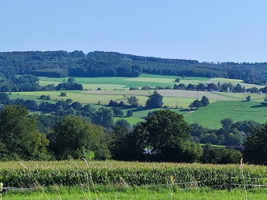Putz und Stuck PANKAU