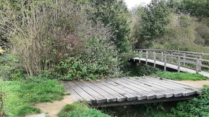 Patric Borgans Fliesenfachbetrieb