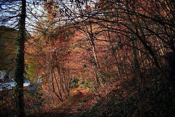 Peter Scholz Fliesenleger