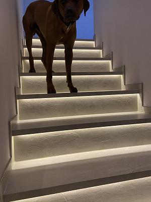 René Hädrich Fliesen- und Natursteinverlegung