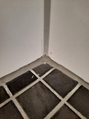 Fliesen Lang GmbH & Co. KG