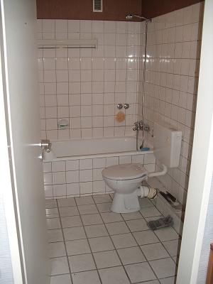 Sascha Kujat - Badsanierung & Mosaikleger