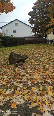 SoLPower HBA Bausanierungskonzept & Service