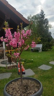 Fliesen- und Natursteinleger R.Strauch