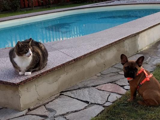 Ralf Fichtner Bau-Dienstleistung