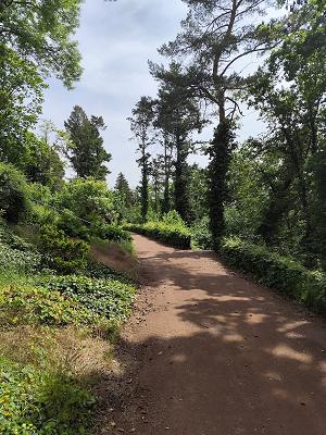 Ringo Fliesenlegermeister Scheitz