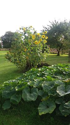 Wegener Fliesenleger GmbH