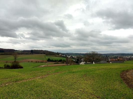 Günter Deja GmbH Fliesen- und Naturstein- arbeiten