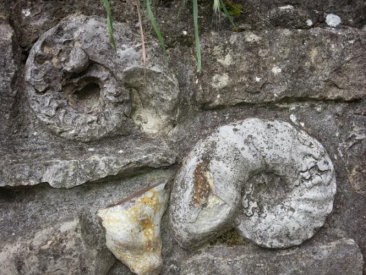 Mehl Jürgen, Natursteine und Fliesen Fachbetrieb